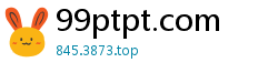 99ptpt.com